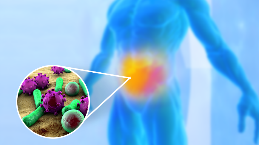 bacterias-intestinais